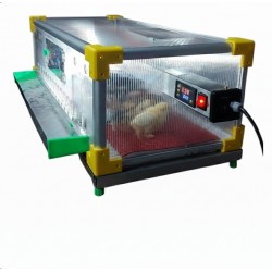 Profesyonel Civciv Büyütme ve Gelişim Kafesi 