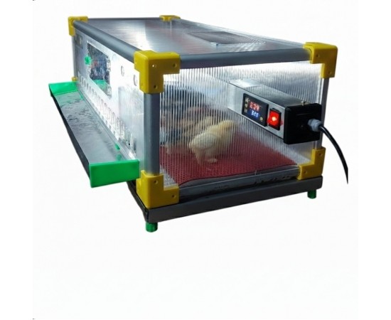 Profesyonel Civciv Büyütme ve Gelişim Kafesi Profesyonel Civciv Büyütme ve Gelişim Kafesi