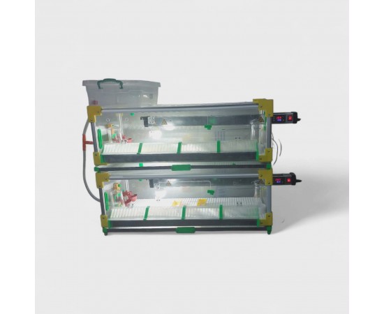  Profesyonel Civciv Büyütme ve Gelişim Kafesi DK-Pro-220/2  25 Cm 